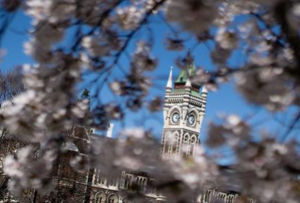 dunedin spring2018